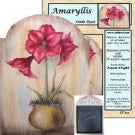 Amaryllis