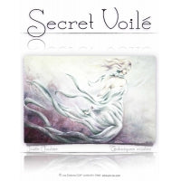 Secret voilé