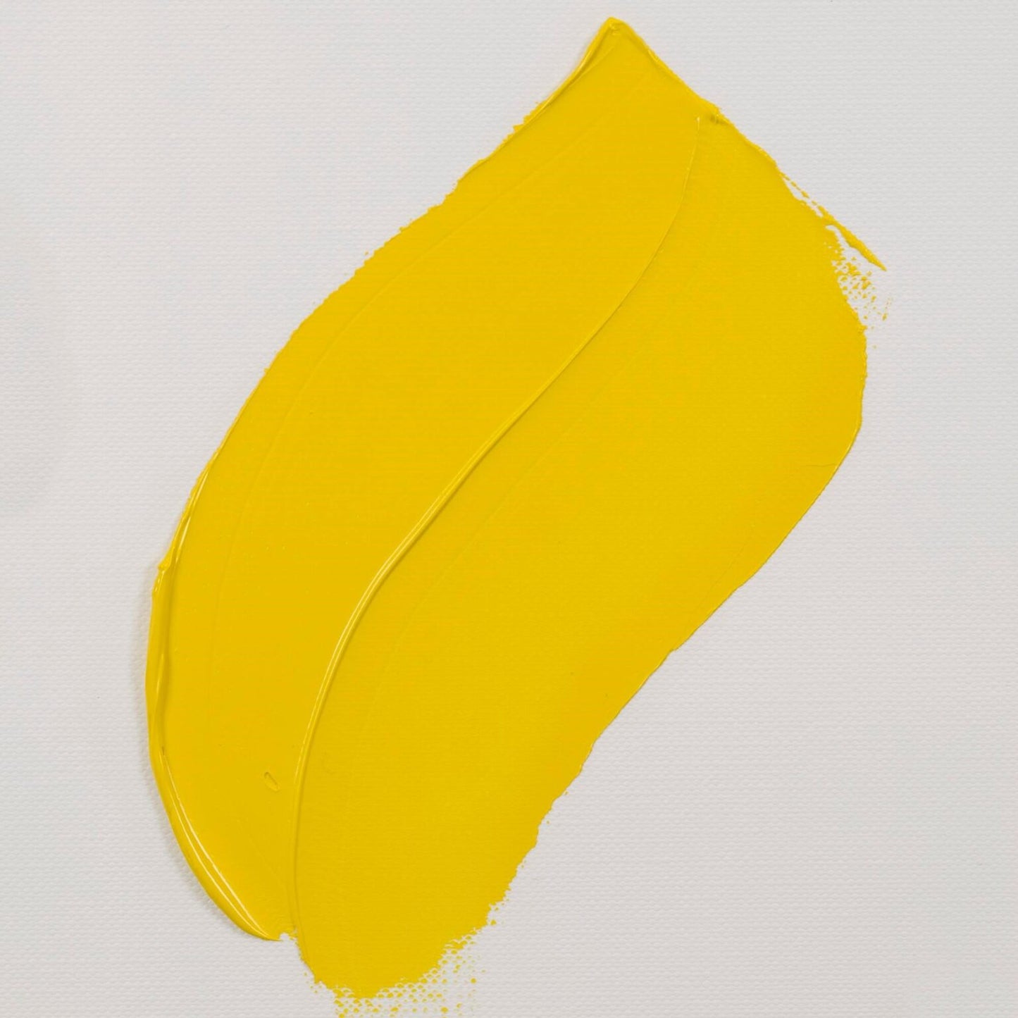 VGO Cadmium Yellow Light